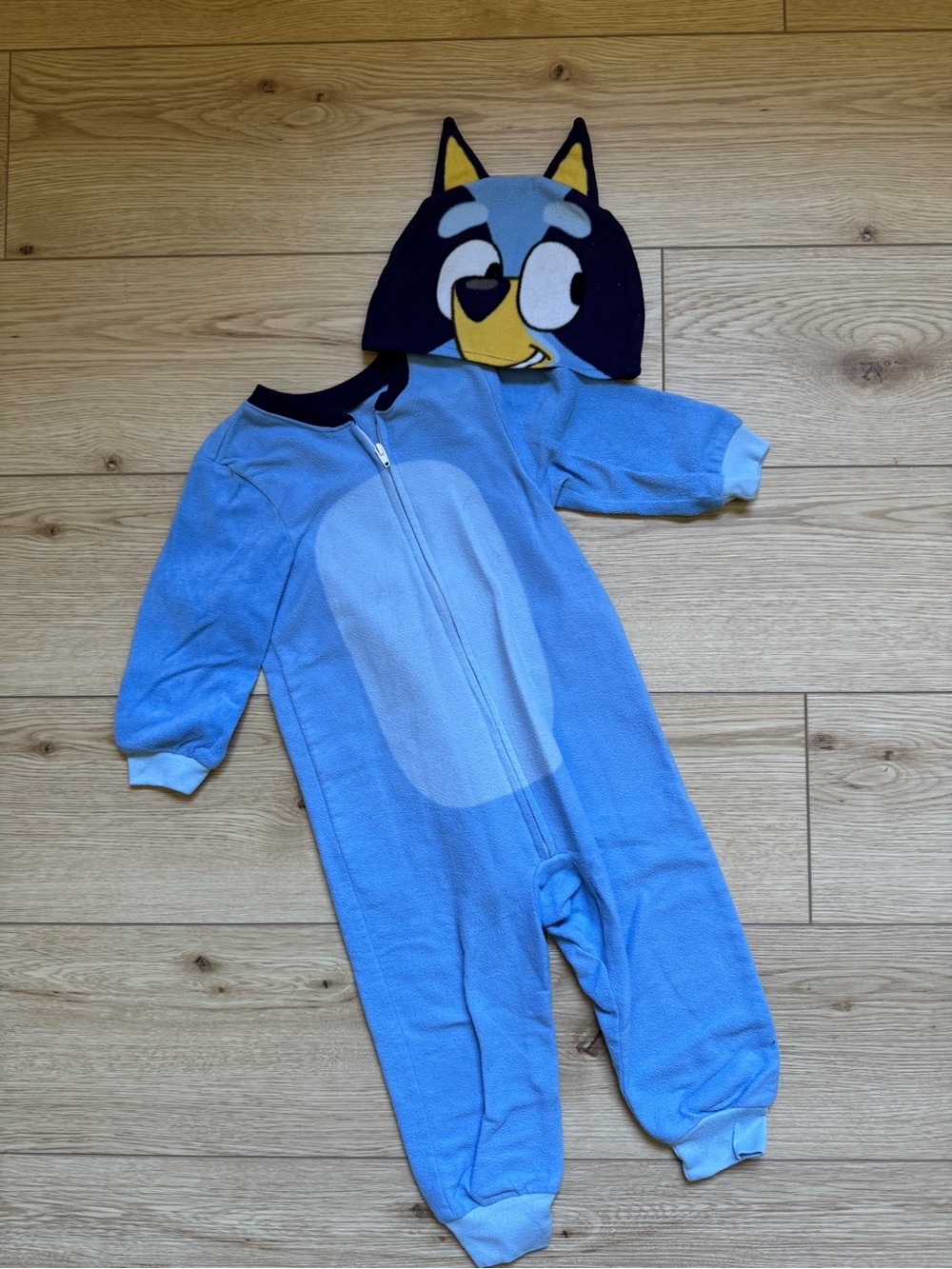 bluey outfit size 2t